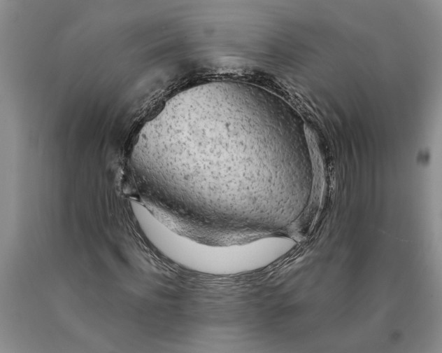 X0000089920916200707271733