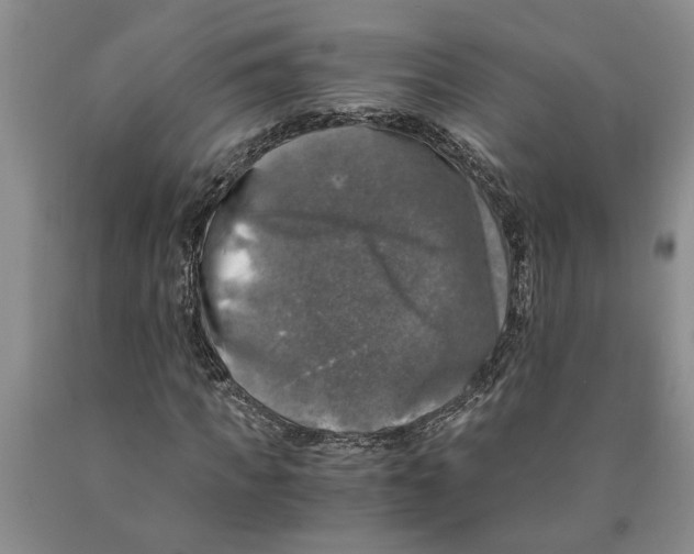 X0000089920917200707271733