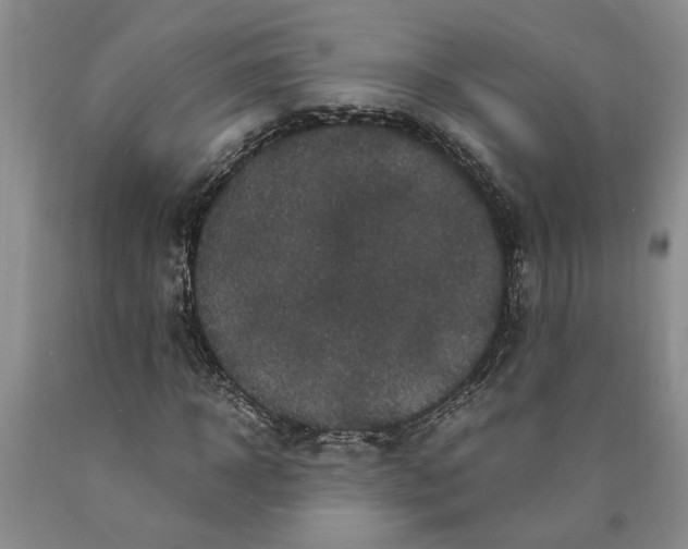 X0000089920918200707271733