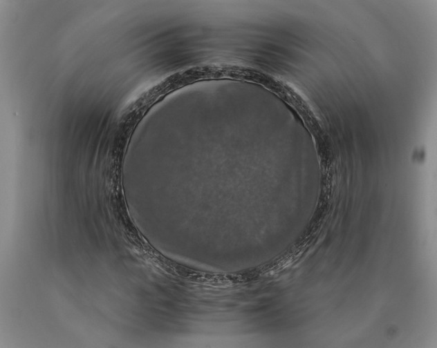 X0000089920919200707271733