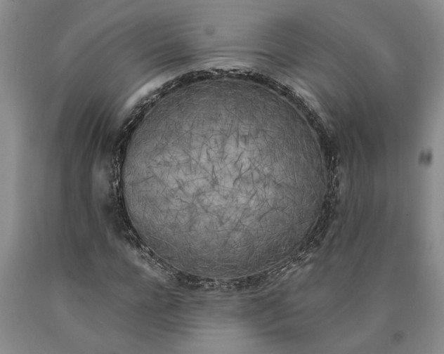 X0000089920920200707271733
