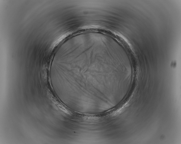 X0000089920921200707271733