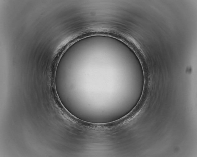 X0000089920922200707271733