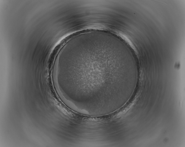 X0000089920923200707271733