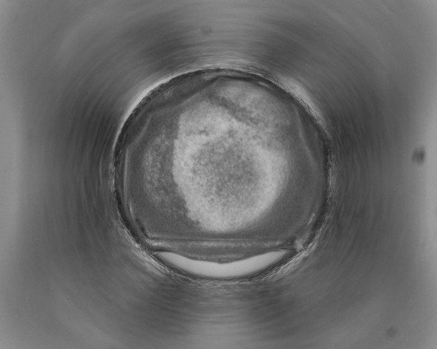 X0000089920924200707271733