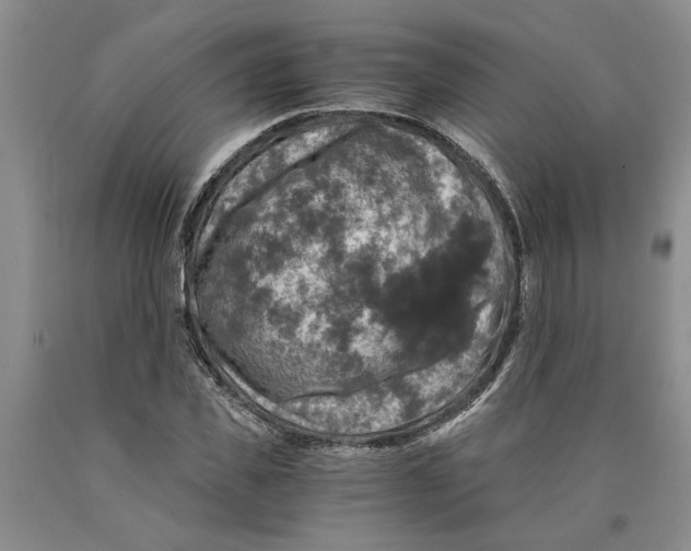 X0000089920925200707271733