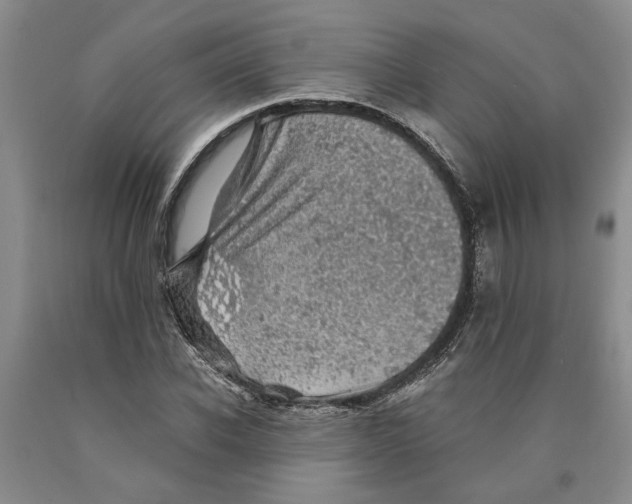 X0000089920926200707271733