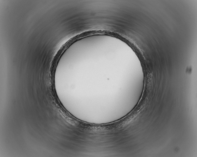 X0000089920927200707271733