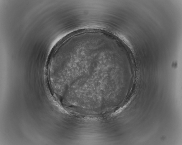 X0000089920928200707271733