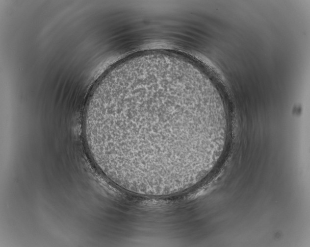 X0000089920929200707271733