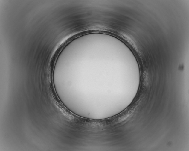 X0000089920931200707271733