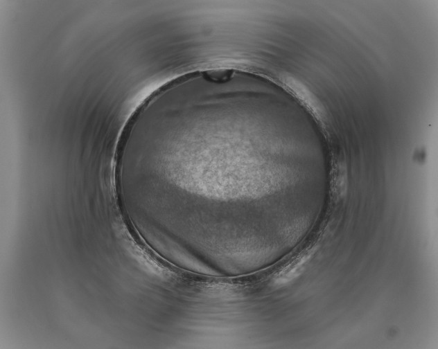 X0000089920932200707271733