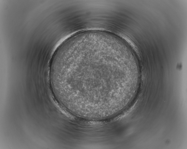 X0000089920933200707271733