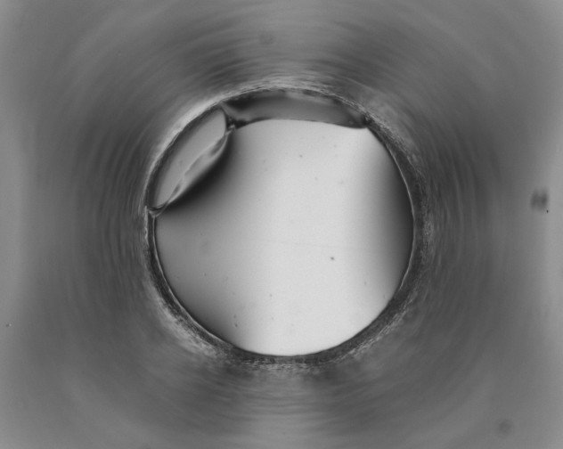 X0000089920934200707271733