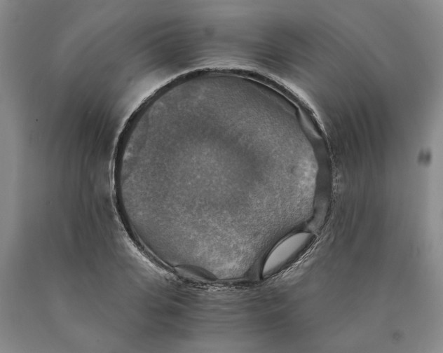 X0000089920935200707271733