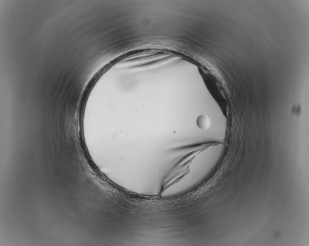 X0000089920936200707271733