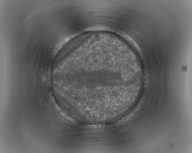 X0000089920937200707271733