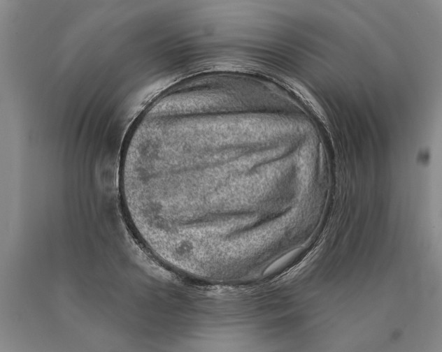 X0000089920938200707271733