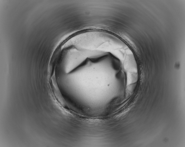 X0000089920940200707271733