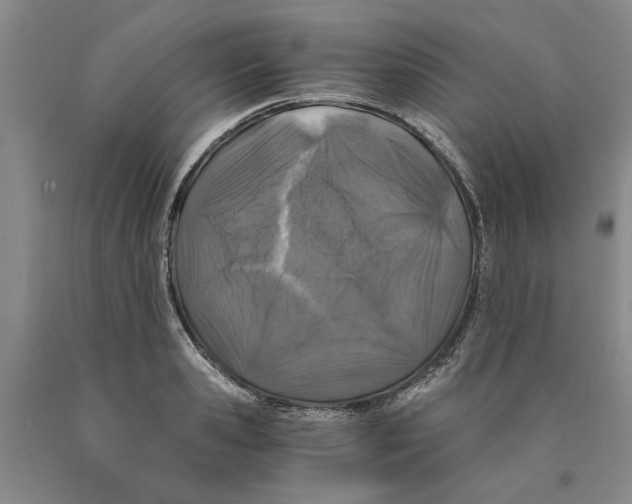 X0000089920941200707271733