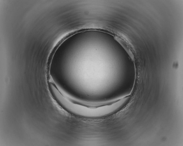 X0000089920942200707271733