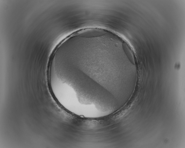 X0000089920943200707271733