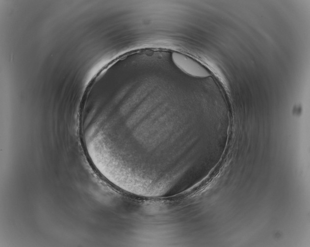 X0000089920944200707271733