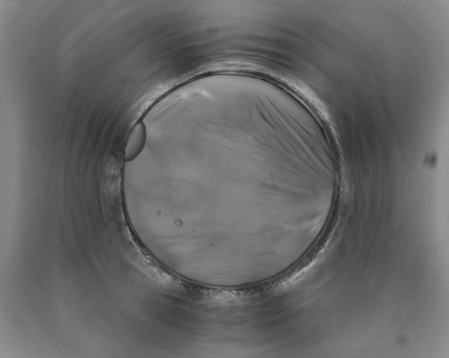 X0000089920945200707271733