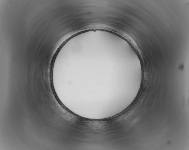 X0000089920947200707271733