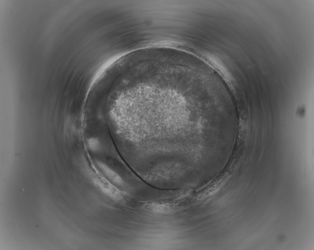 X0000089920948200707271733