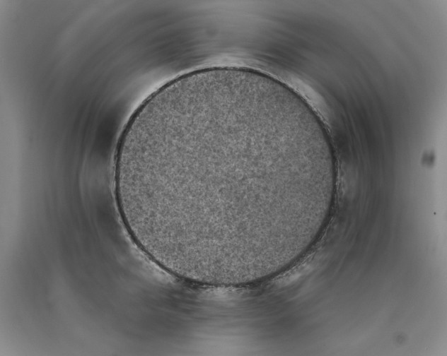 X0000089920950200707271733