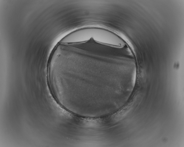 X0000089920951200707271733