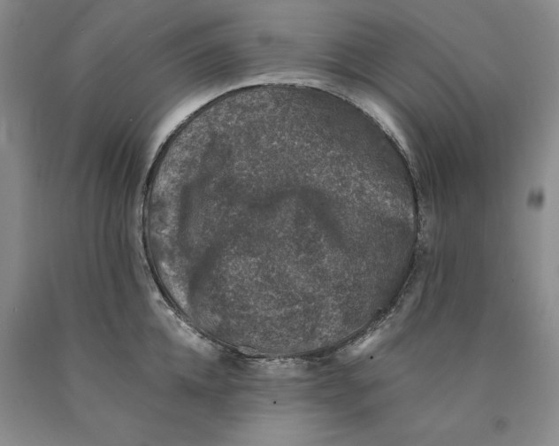 X0000089920952200707271733