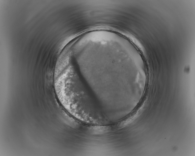 X0000089920953200707271733