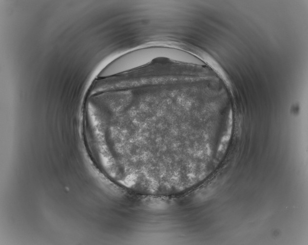 X0000089920955200707271733