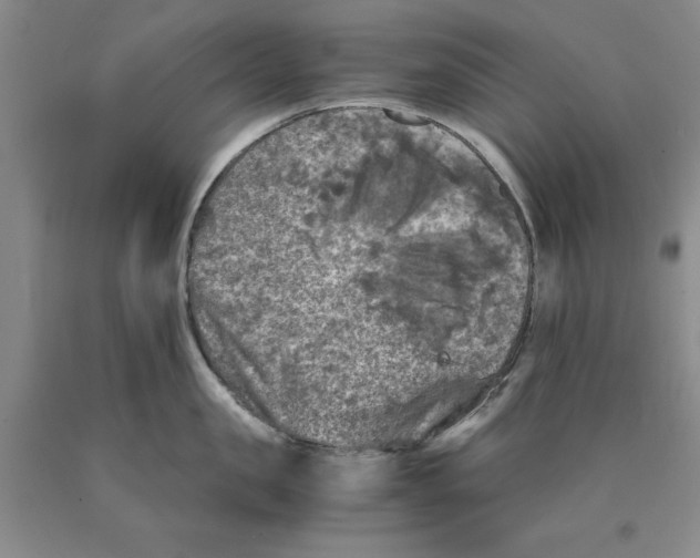 X0000089920957200707271733