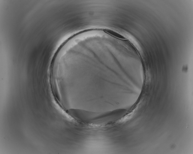 X0000089920958200707271733