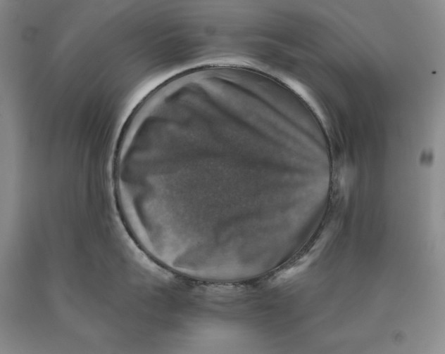 X0000089920959200707271733