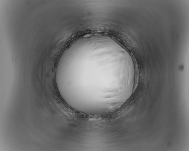 X0000089920961200707271733