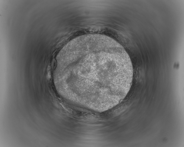 X0000089920962200707271733