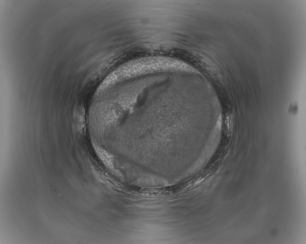 X0000089920963200707271733