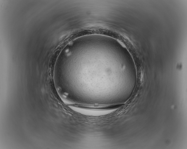 X0000089920965200707271733