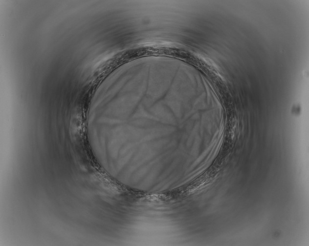 X0000089920966200707271733