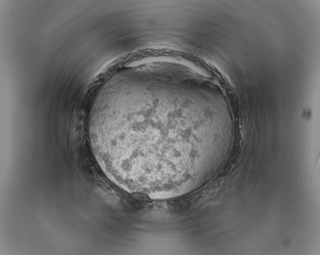 X0000089920968200707271732