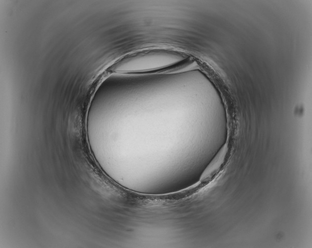 X0000089920969200707271732