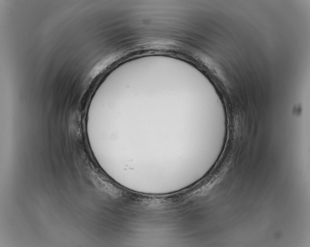 X0000089920970200707271732