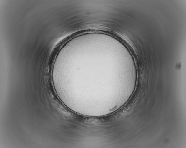 X0000089920971200707271732