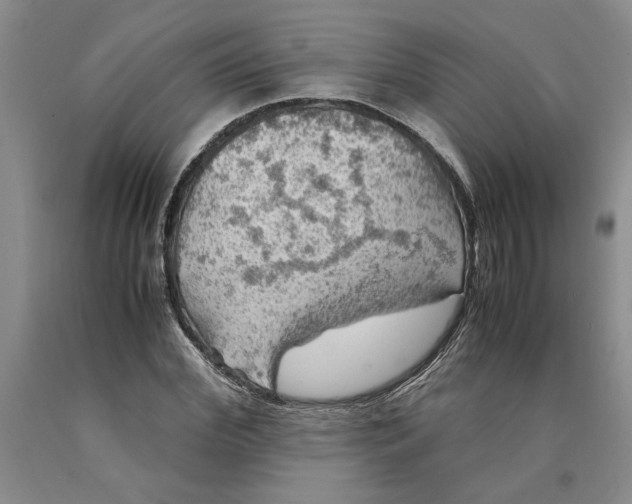 X0000089920972200707271732