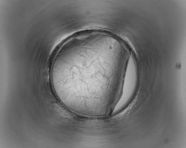 X0000089920973200707271732