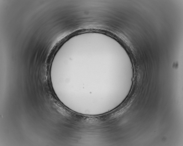 X0000089920974200707271732